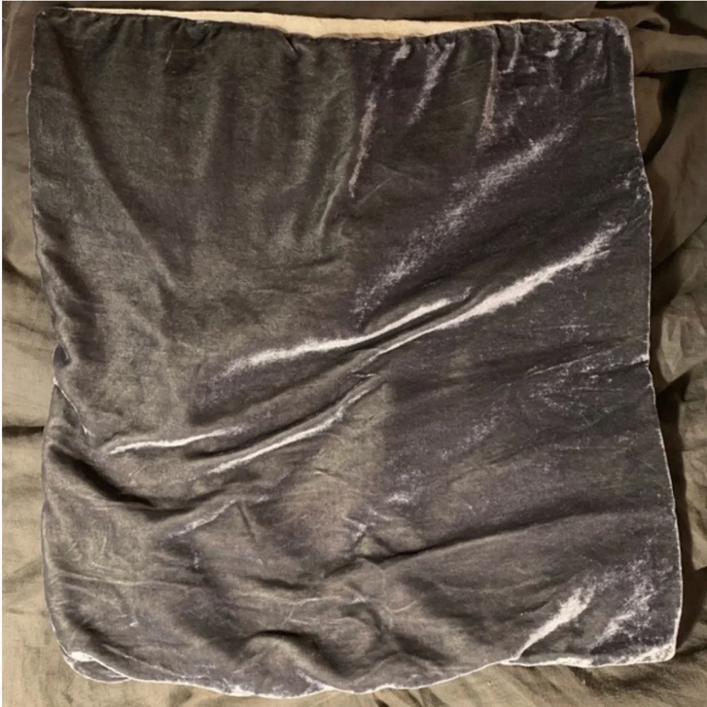 1 West Elm Lush Velvet Pillow Cover Lux